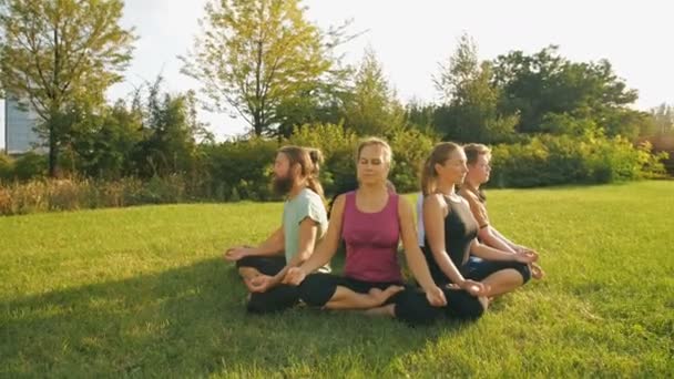 Молодые люди медитируют на открытом воздухе — стоковое видео