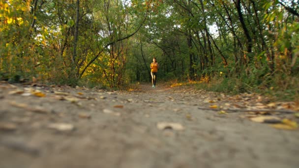 Mulher a correr no parque — Vídeo de Stock