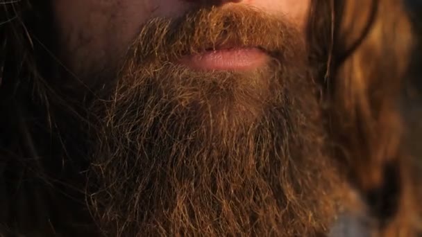 Длинная борода и волосы человека — стоковое видео