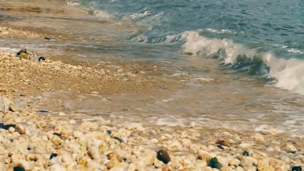 Ondas do mar na praia — Vídeo de Stock