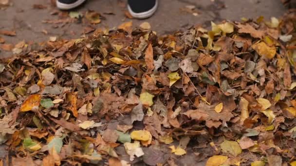 Жінка Підмітальні листя — стокове відео