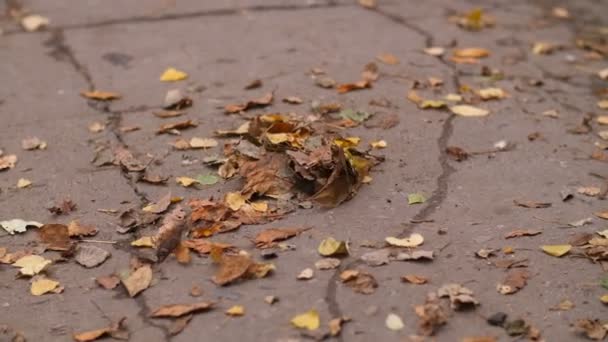 Dreckige Straße vom Müll fegen — Stockvideo