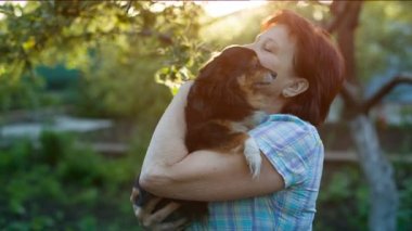 Küçük bir köpek sarılma metresi