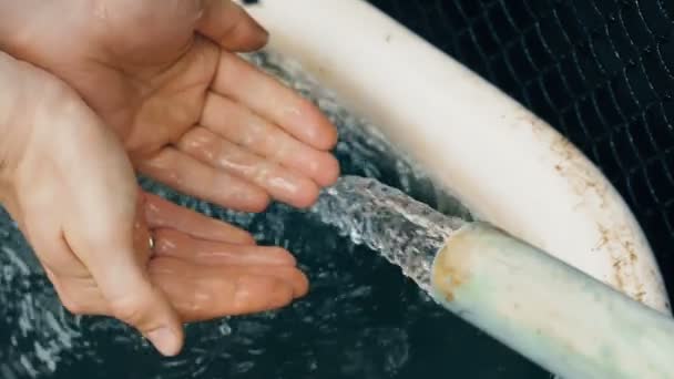 Flux d'eau coulant sur les mains — Video