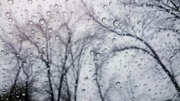 雨滴落在玻璃杯上 — 图库视频影像