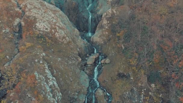 Cascade de cascades en forêt tropicale humide avec roche — Video