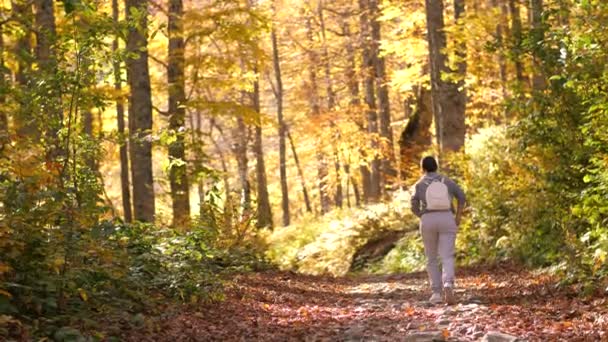Femme marchant dans le parc d'automne