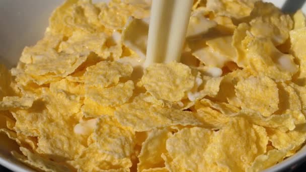 Corn flakes pouring with milk — Stock Video