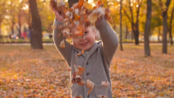 Küçük çocuk yaprak fırlatıyor. — Stok video