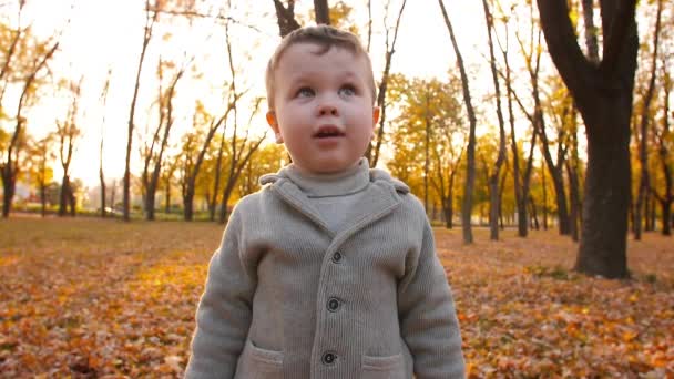 Счастливый маленький мальчик в осеннем парке — стоковое видео