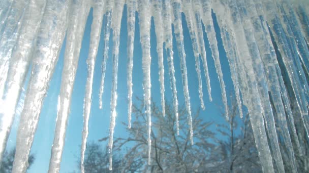 Icicles hanging on the roof — Stock Video