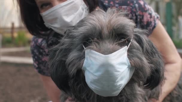Hond en vrouw in beschermende maskers — Stockvideo