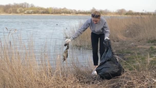 Wolontariuszka zbiera śmieci na plaży. — Wideo stockowe