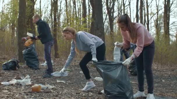 Volunteers collecting garbage in park — Stock Video