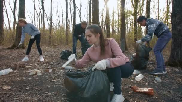 Los voluntarios limpian la naturaleza de la basura — Vídeos de Stock