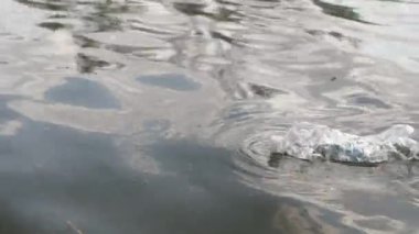 Nehirde yüzen plastik şişe