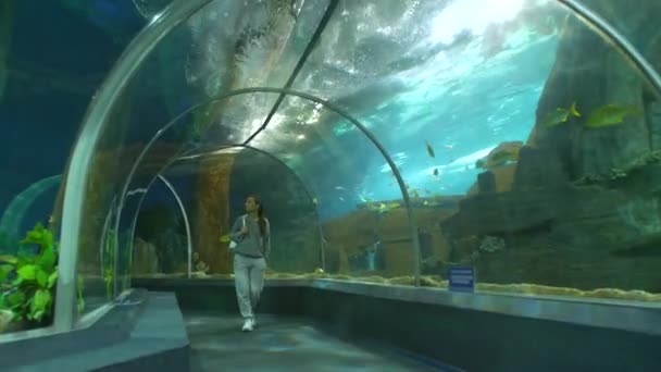 Молодая женщина в океанариуме — стоковое видео