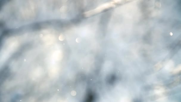 Sne falder i sollys. Vinterbaggrund – Stock-video