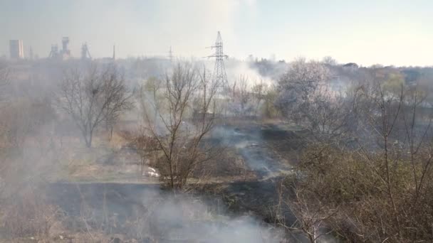 Chmury dymu nad palącym się polem — Wideo stockowe