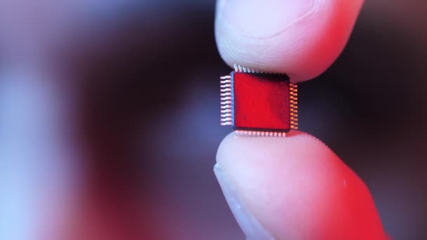 Mann hält Mikrochip in der Hand — Stockvideo