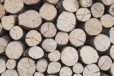 Odunları bir woodpile yığılmış