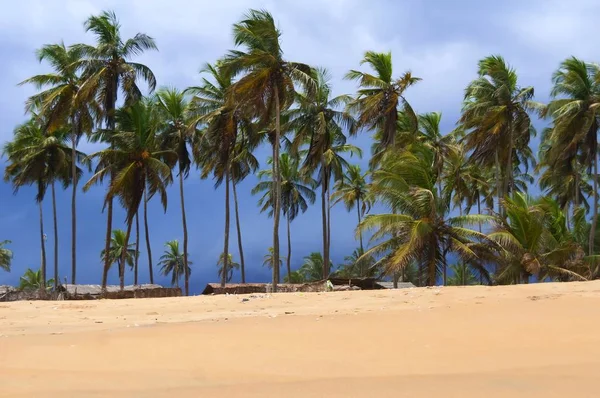 Tormenta tropical en la playa del océano . —  Fotos de Stock