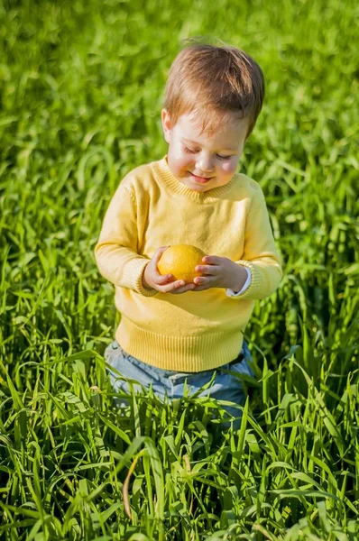 Bonito Feliz Menino Caucasiano Campo Verde Com Limão Amarelo Suas — Fotografia de Stock