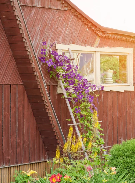 Cephe pencere çiçekli.