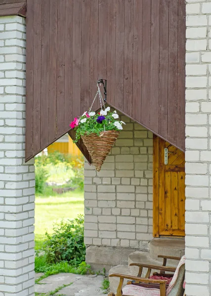 Pétunias de décoration bien dans des pots — Photo