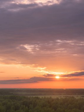 Gün batımında renkli gökyüzü ve orman siluet.