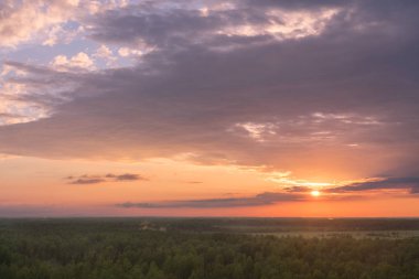 Gün batımında renkli gökyüzü ve orman siluet.