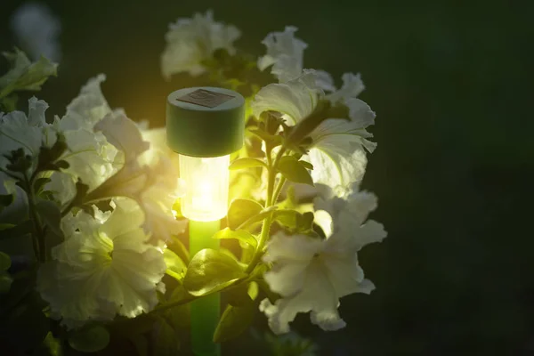 Garden lights with solar battery — Stock Photo, Image