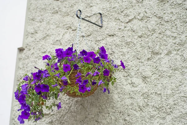 Mor çiçeklerle dolu bir dış sepeti