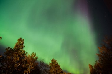 Kuzey ışıkları aurora borealis