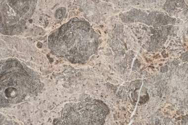 Mermer Döşeme desenli duvar mermer arka planı.