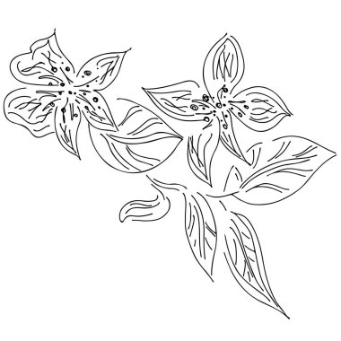 Beyaz arka planda soyut el çizimi nilüfer çiçeği. Vektör çizimi. Taslak çizimi. Üst görünüm