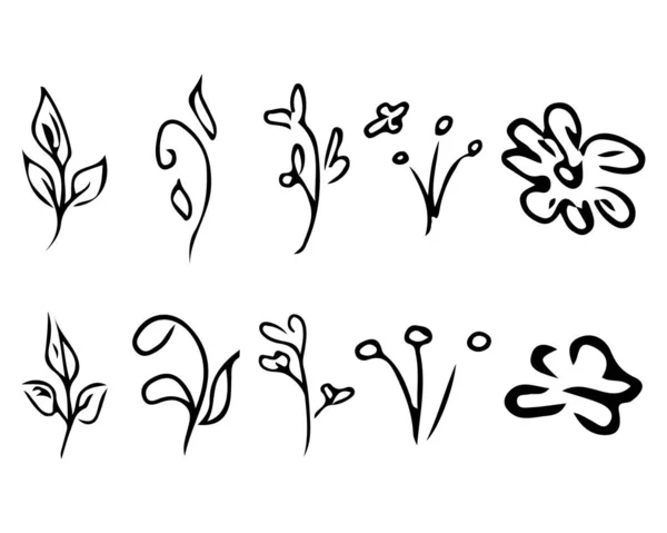 Virágok és ágak elszigetelt fehér háttér. Kézzel rajzolt firka gyűjtemény. 10 virágos grafikai elem. Nagy vektor beállítva. Körvonalazott ikonok — Stock Vector
