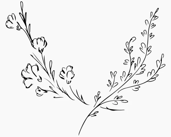 Ilustraciones vectoriales dibujadas a mano de dos ramas con flores y hojas aisladas en blanco. Bosquejo dibujado a mano de una flor . — Archivo Imágenes Vectoriales