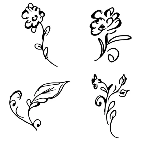 Blumen und Zweige handgezeichnete Kritzelei Sammlung isoliert auf weißem Hintergrund. 4 florale grafische Elemente. großen Vektorsatz. Umrissensammlung — Stockvektor