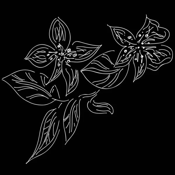추상적으로 손으로 그린 로터스 꽃은 검은 색 배경에 고립되어 있다. 벡터 일러스트. 스케치. 맨 위 사진 — 스톡 벡터