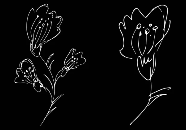 Deux fleurs sauvages abstraites isolées sur fond noir. Illustration vectorielle dessinée à la main. Collection de fleurs sauvages. Esquisse sommaire — Image vectorielle