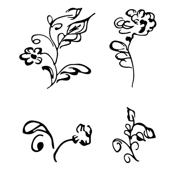 Квіти та гілки вручну намальовані колекцією каракулів ізольовані на білому тлі. 4 квіткові графічні елементи. Великий векторний набір. Збірка контурів — стоковий вектор