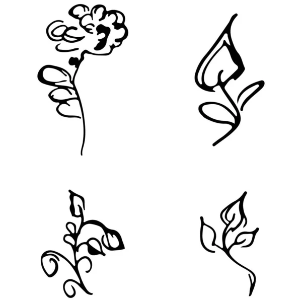 Flores y ramas dibujadas a mano colección de garabatos aislados sobre fondo blanco. 4 elementos gráficos florales. Gran conjunto de vectores. Esquema de recogida — Archivo Imágenes Vectoriales
