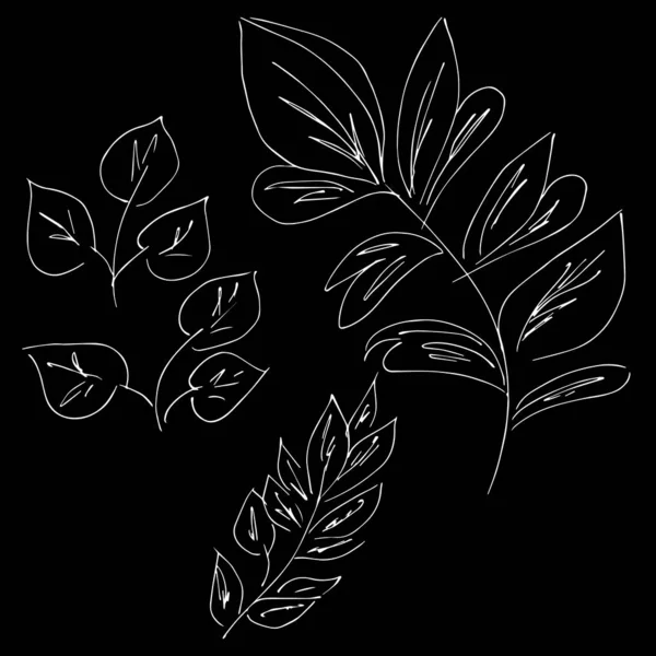 Flores silvestres abstratas isoladas sobre fundo preto. Ilustração vetorial desenhada à mão. Definições gerais — Vetor de Stock