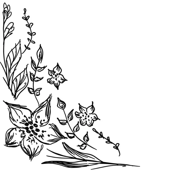 Illustrations vectorielles dessinées à la main d'un ensemble abstrait de fleurs isolées sur du blanc. Croquis dessiné à la main d'une fleur — Image vectorielle