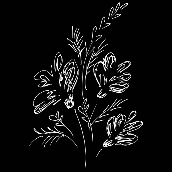 추상적 인 들꽃들이 검은 배경에 고립되어 있습니다. 손으로 그린 벡터 일러스트. 윤곽 — 스톡 벡터