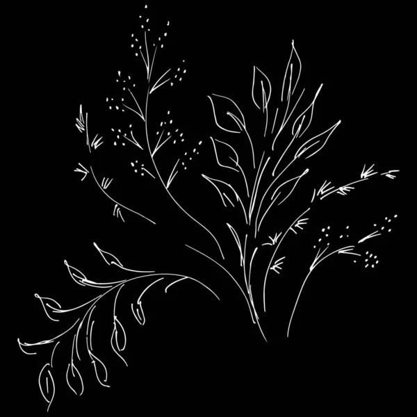 추상적 인 들꽃들이 검은 배경에 고립되어 있습니다. 손으로 그린 벡터 일러스트. 윤곽 — 스톡 벡터