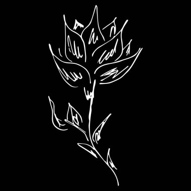 Soyut el çizimi nilüfer çiçeği siyah arka planda izole edilmiş. Vektör çizimi. Taslak çizimi. Lotus logosu