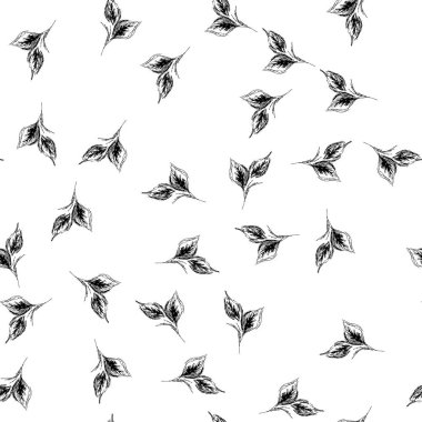Beyaz arka planda çizgi çizili, çizimsiz yapraklar. Çiçeksiz desenli taslak. Basit, şirin bir tasarım. El çizimi tarzı. Vektör illüstrasyon sanatı