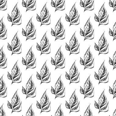 Soyut körfez yapraklarının kusursuz el çizimleri beyaz arka planda izole edilmiş. Vektör çiçek çizimi. Sevimli karalama modern izole pop sanat unsurları. Özet